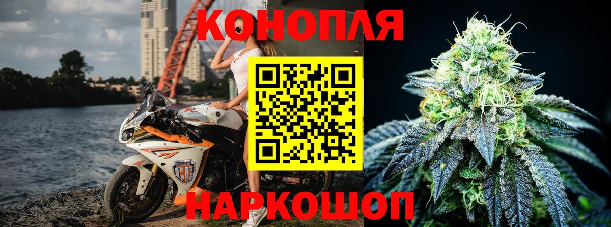 Королёв  Бошки Шишки семена  Вход с VPN  Бошки Шишки SATIVA & INDICA  Канабис SATIVA & INDICA 